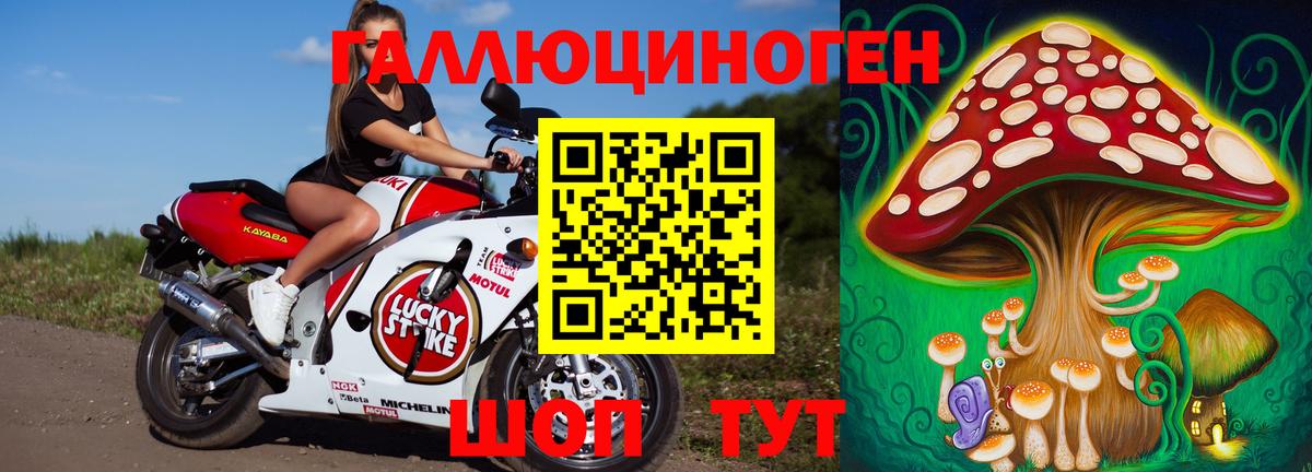 Галлюциногенные грибы мицелий Котлас